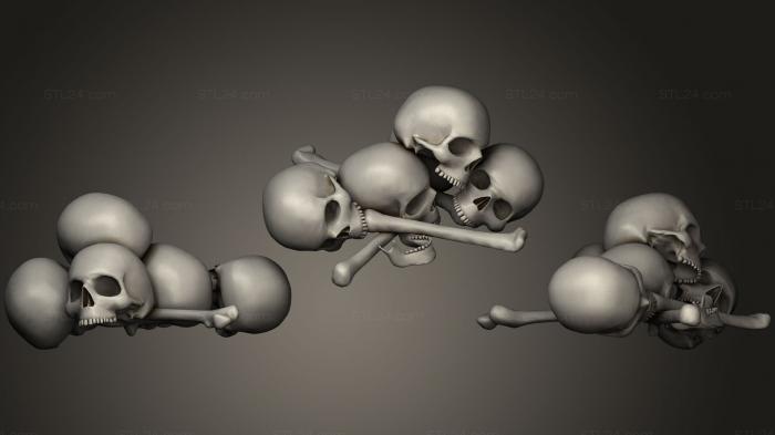 Анатомия скелеты и черепа (Набор человеческих Костей2, ANTM_0685) 3D модель для ЧПУ станка